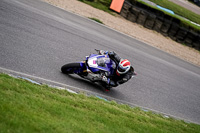 enduro-digital-images;event-digital-images;eventdigitalimages;lydden-hill;lydden-no-limits-trackday;lydden-photographs;lydden-trackday-photographs;no-limits-trackdays;peter-wileman-photography;racing-digital-images;trackday-digital-images;trackday-photos